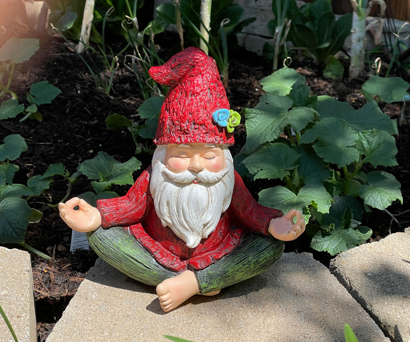 Just Meditating by the garden