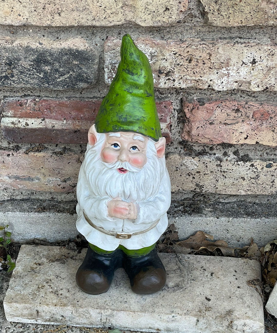 Solemn Gnome