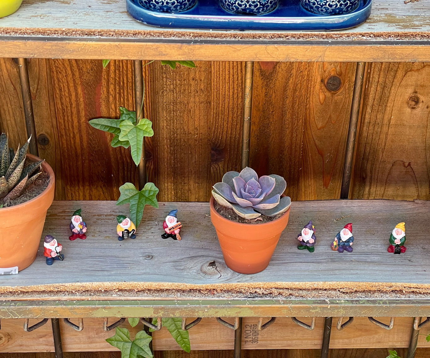 The Seven Dwarves of Gnomedom